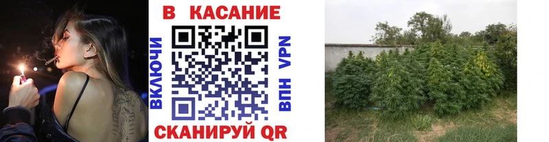 Наркошоп купить Кокаин  Alpha-PVP  Гашиш  МАРИХУАНА  Меф мяу мяу  Малмыж