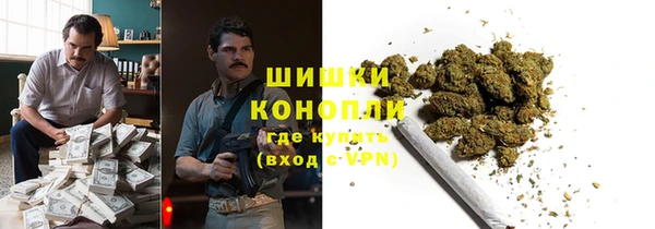 ПСИЛОЦИБИНОВЫЕ ГРИБЫ Покачи