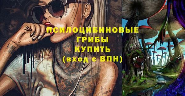 a pvp Пестово