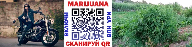 Купить где Малмыж Каннабис AK-47